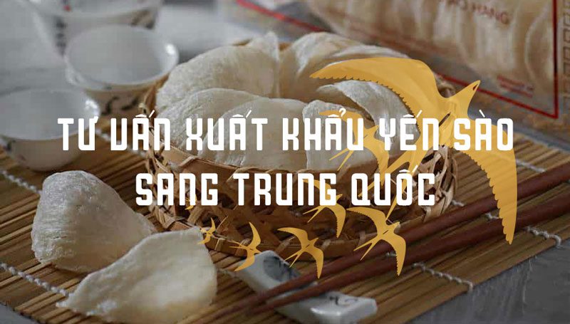 Tại sao nên chọn Thiện An Express để gửi yến sào đi Trung Quốc?